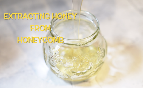 Honey Ware Récipient en Émail pour Conservation Sous Vide - Forme